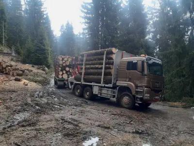 СС ПАЙН УУД ЕООД Изграждане на горски пътища.Дърводобив със специализирана техника.Транспорт.Производство на дървен