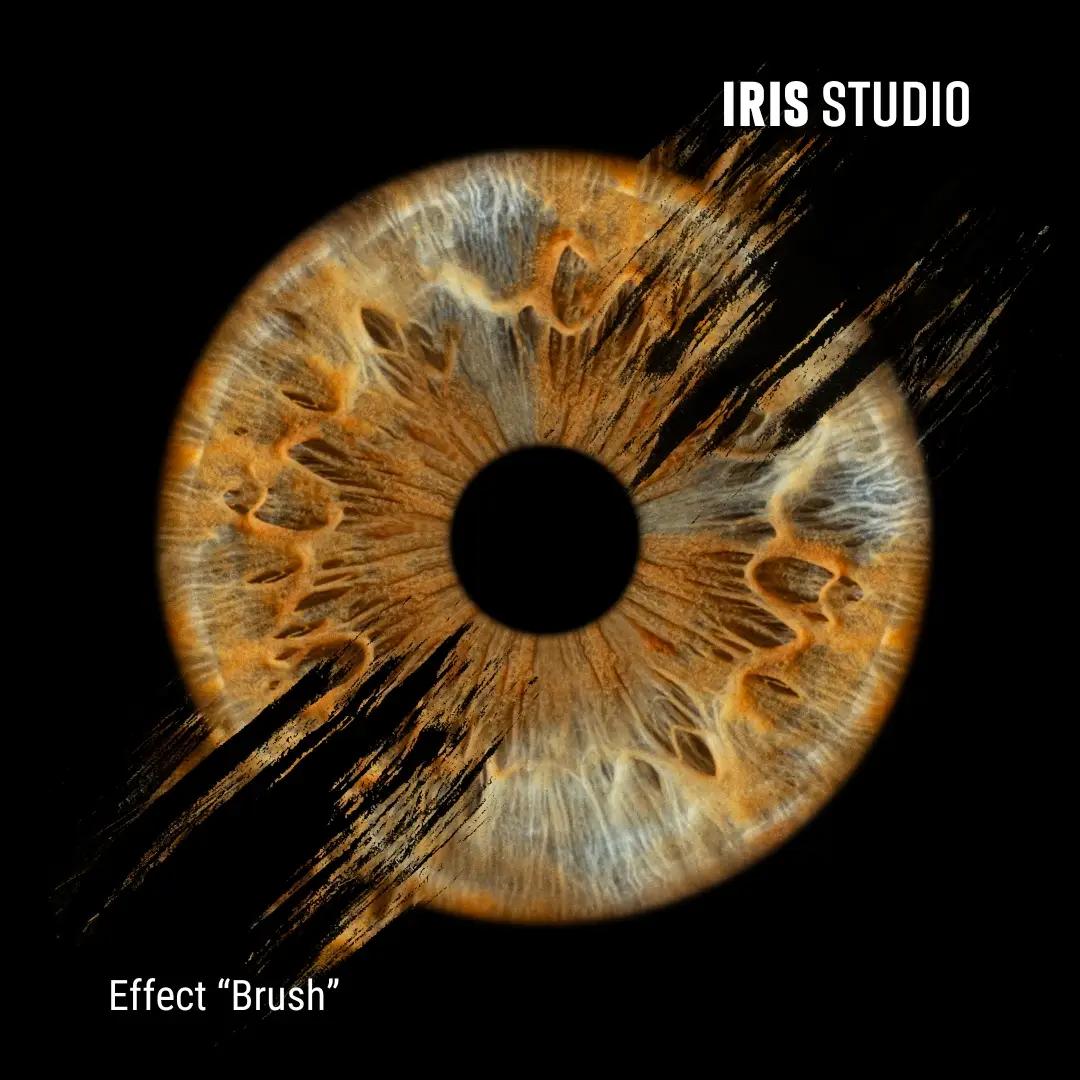 IRIS STUDIO - Plovdiv Plaza Mall, ирисова фотография, ниво 2