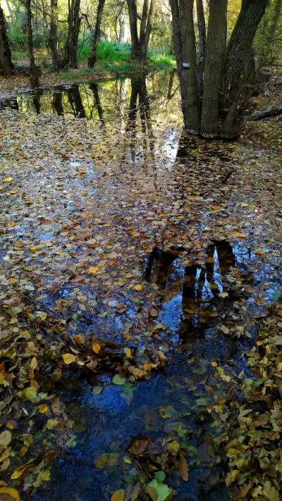 Фото Студио Узунови