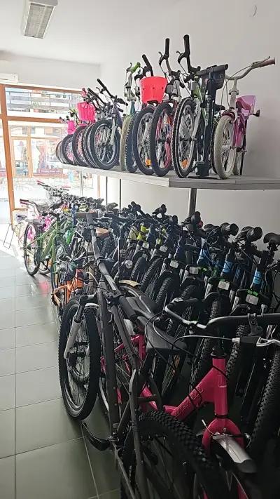 Bicycle shop Koleloto