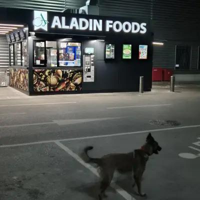 Aladin Foods