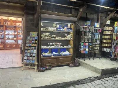 The Souvenir Shop