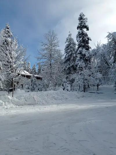 ВПД Боровец