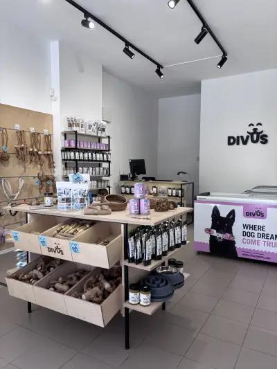 Divus Foods