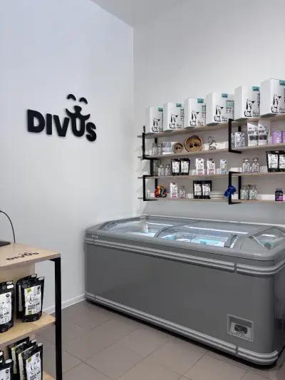 Divus Foods