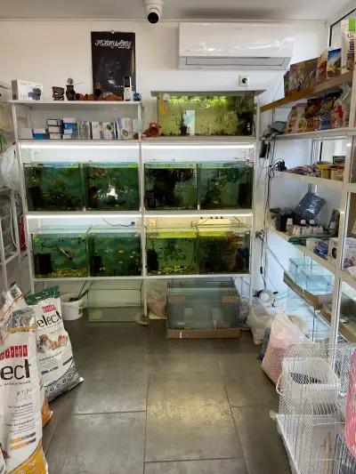 Зоомагазин Феникс ,Pet Shop