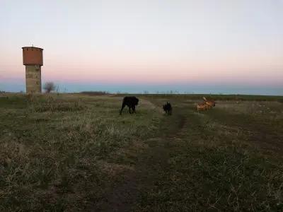 Старата Водна кула