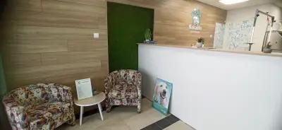 Груминг студио Кокалито / Grooming Studio Kokalito