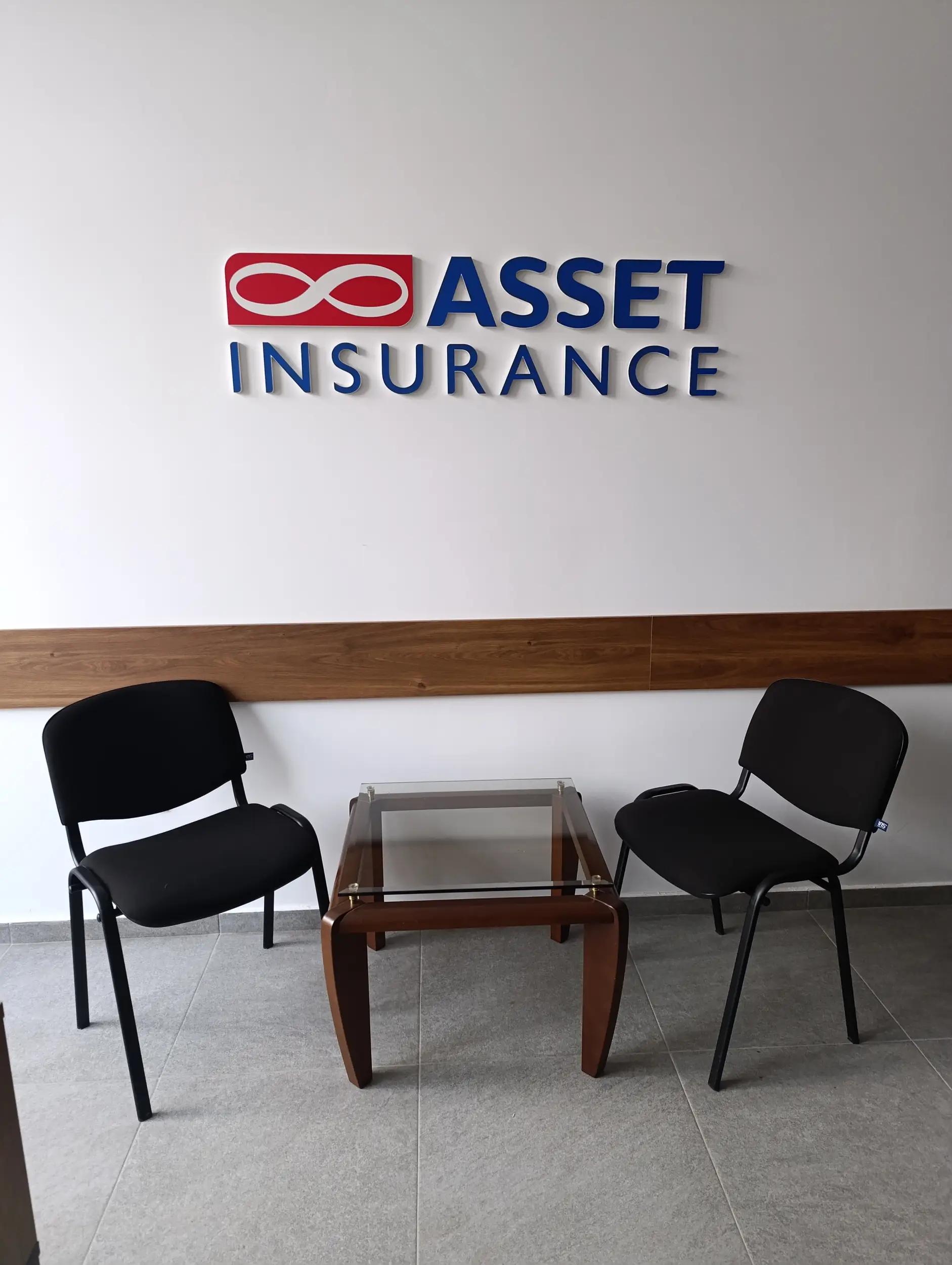 Asset Insurance - Разлог