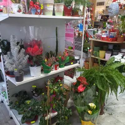 Flowers Shop - Obzor