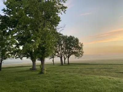 Динатрейд България ЕООД