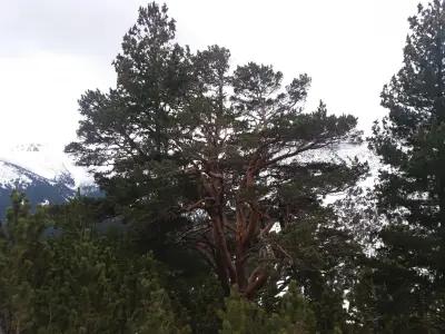 Rila National Park - Hiking Trail Viewpoint