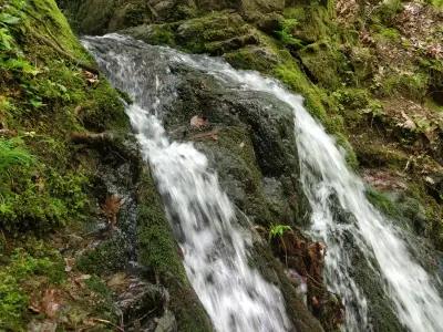 Водопад Дъбицата