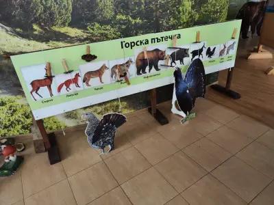 Pirin National Park Tourist Information Centre