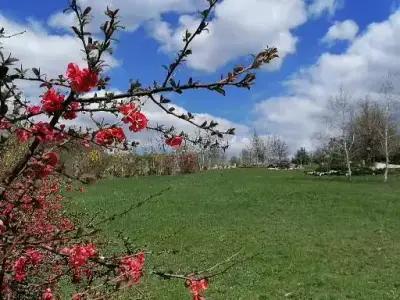 Къща за гости Мели, Габрово