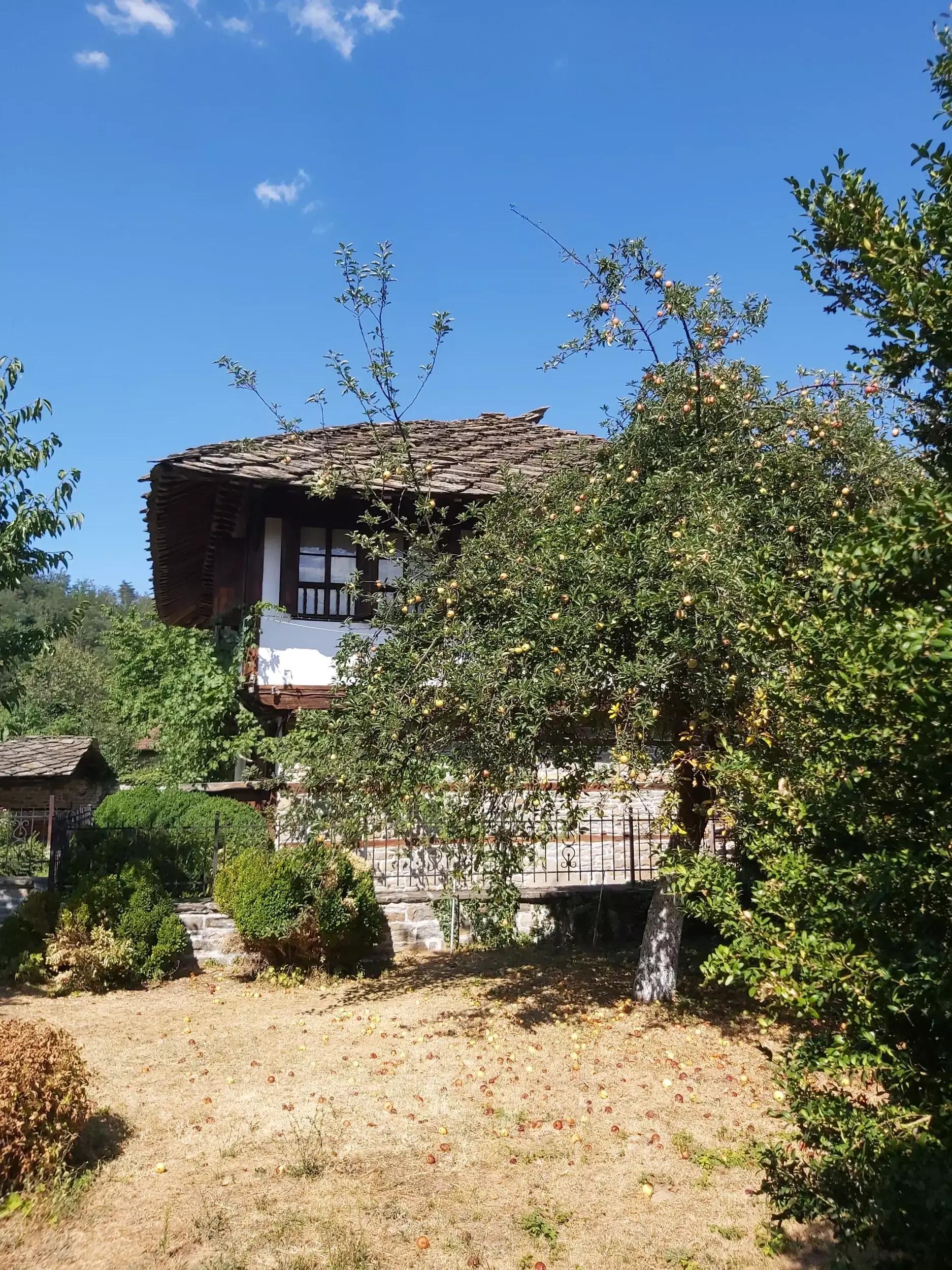 Tryavna Beer House Luc's