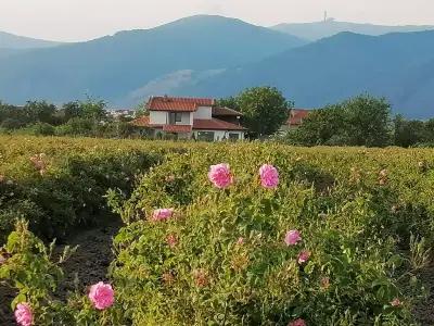 Къща за гости Сърцето на долината /The Heart of the valley