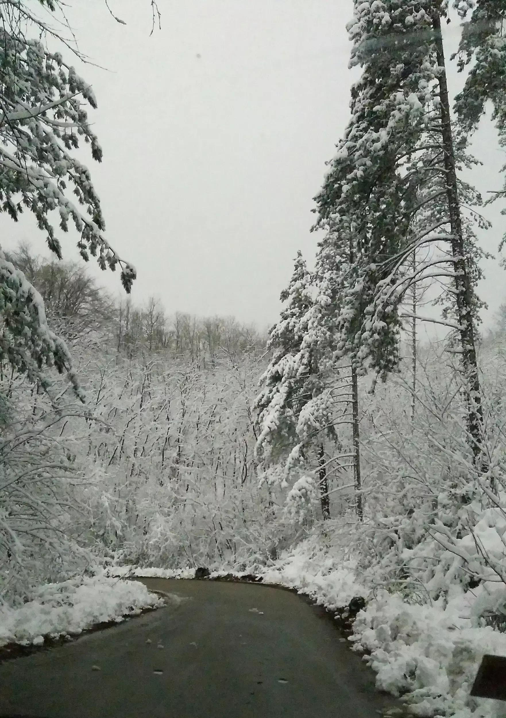 КЪЩА КАМЕН И ЦЕНА