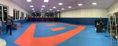 Ronin Dojo