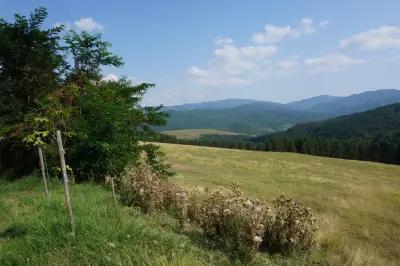 Археологически парк "Тополница"