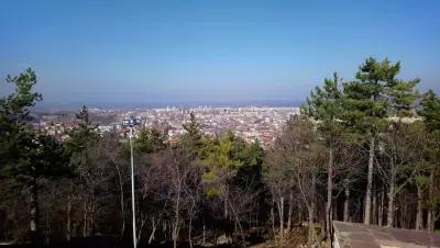 Държавно Горско Стопанство