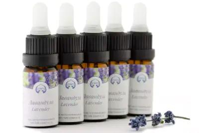 APIS - Natural lavender essential oil