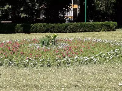 Художествена галерия „Никола Петров”