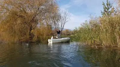 Рибовъдно стопанство