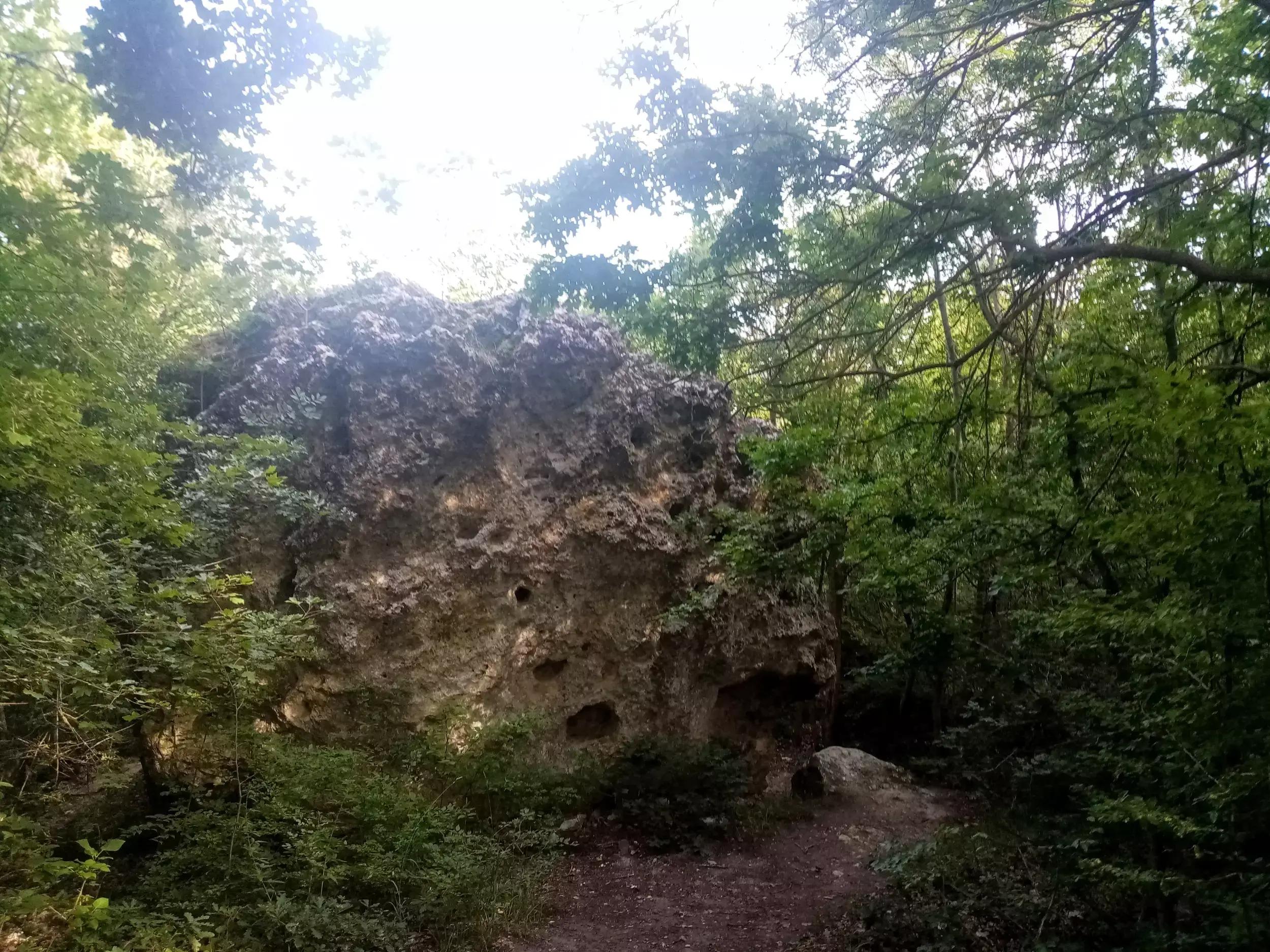 Природен парк Златни пясъци