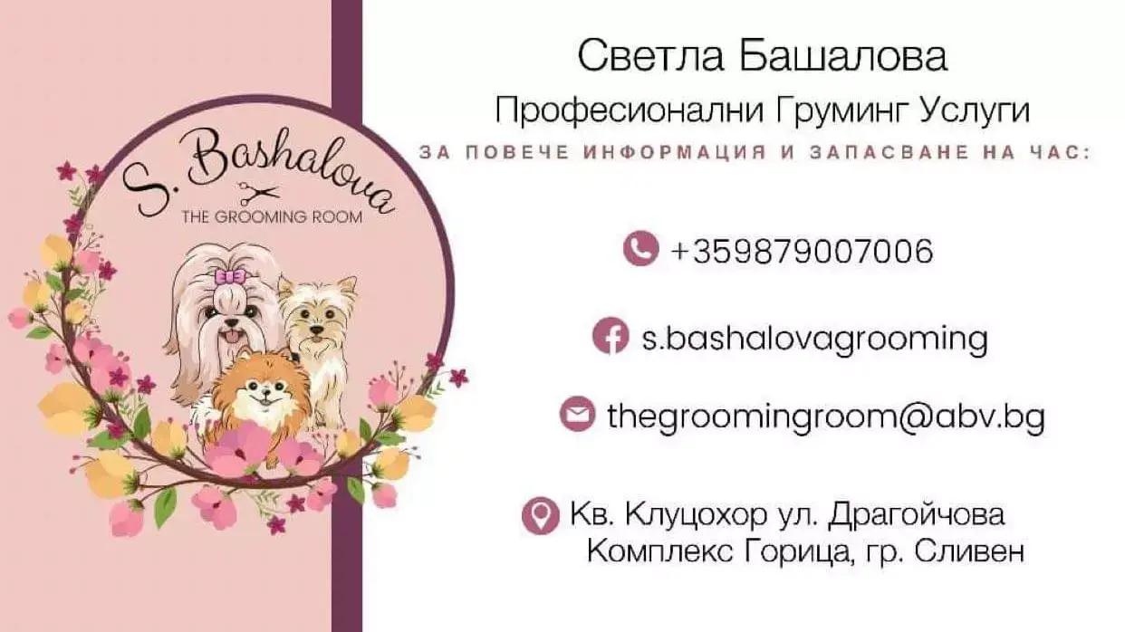 S.Bashalova The Grooming room