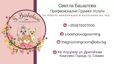 S.Bashalova The Grooming room