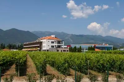 Uva Nestum Wine & SPA