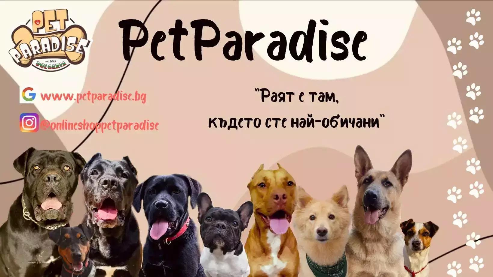 PetParadise