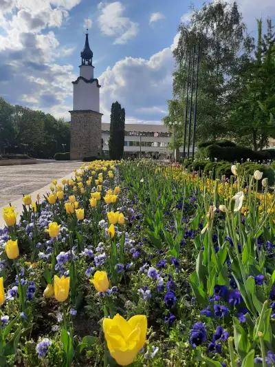 Часовникова кула