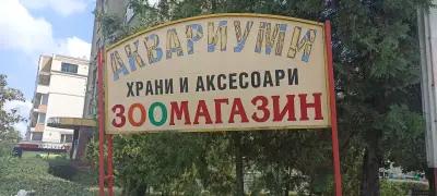 Аквариум БГ Пазарджик - Магазин за акваристика