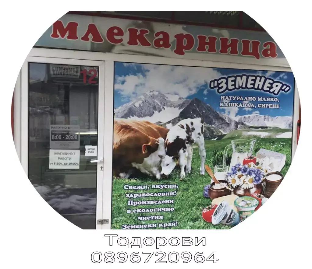 Млекарница Тодорови