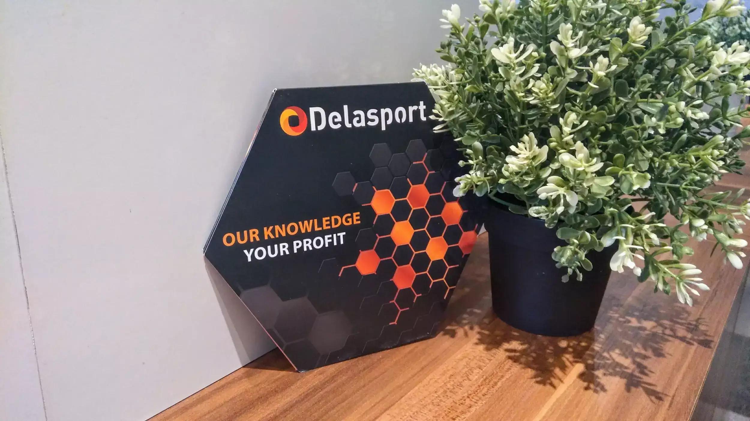 Delasport - Sports Betting & Online Casino Software Solutions