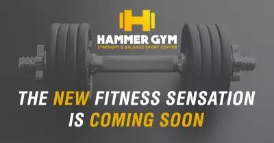 Hammer Gym Center