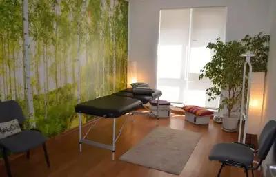 Bowen Therapy Care in Sofia