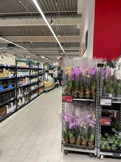 Kaufland Пловдив - Хриcто Смирненcки