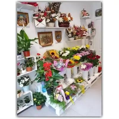 Boutique "Paradise Flowers"