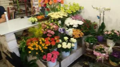 Цветарски магазин IVENFLORIST