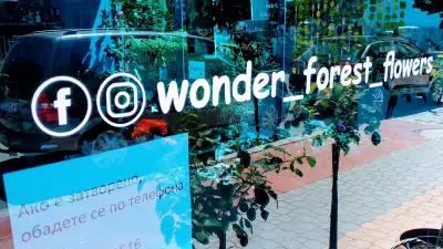 Wonder Forest flowers (цветя)