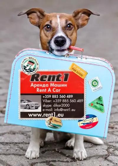 Rent 1 LTD