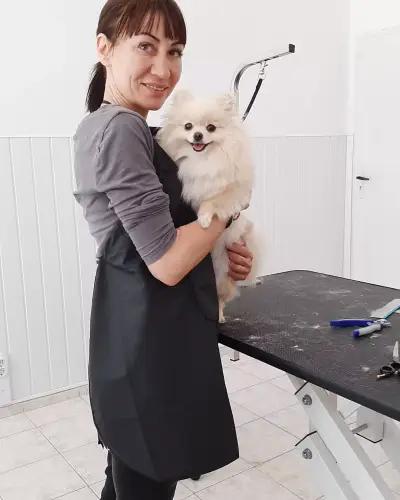 Milena Pet Grooming