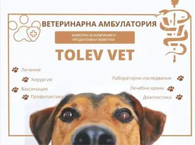 TOLEV VET