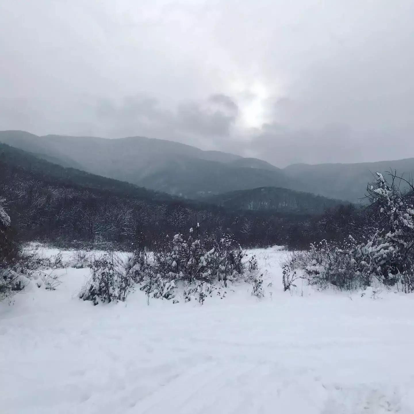 Хотелски Комплекс Ливадите