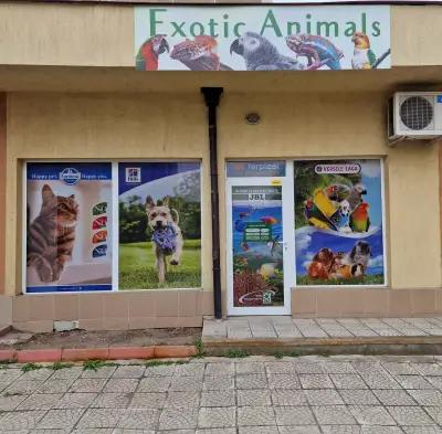 Зоомагазин Exotic Animals