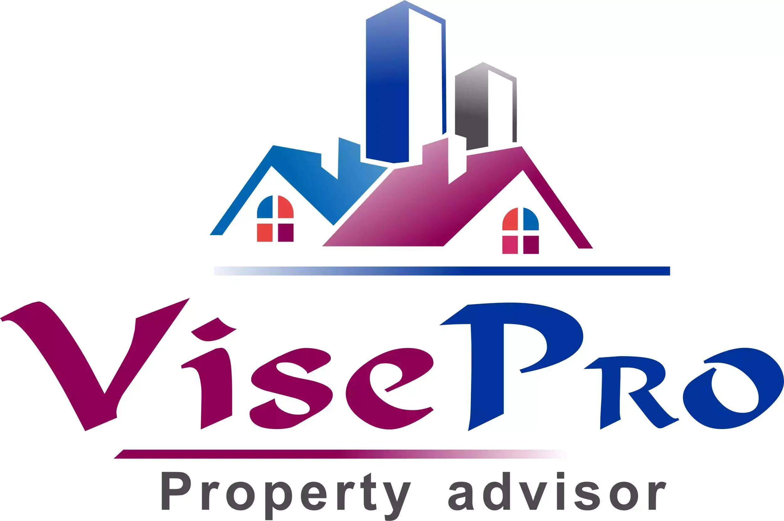 VisePro LtD