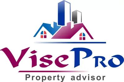 VisePro LtD